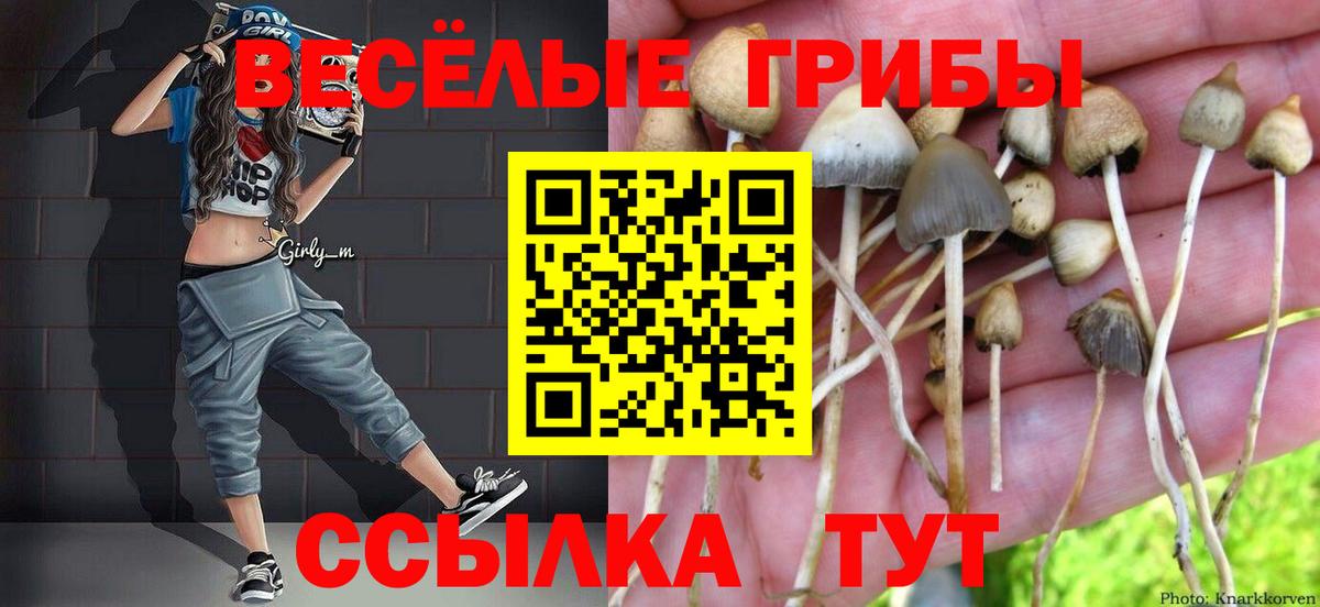 Находка  Псилоцибиновые грибы Magic Shrooms  Псилоцибиновые грибы ЛСД  Вход с VPN 